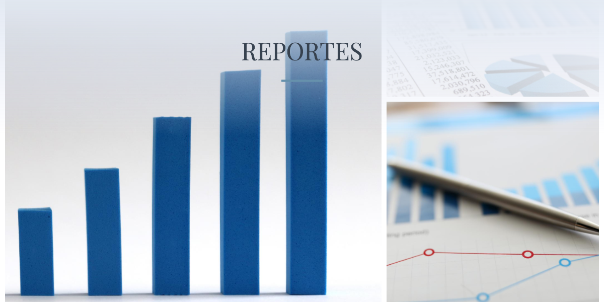 Reportes
